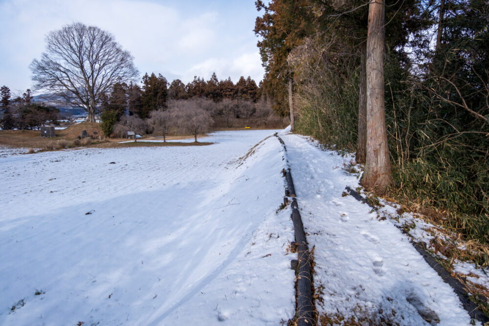 本丸跡の土塁。
