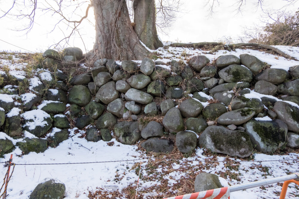 桝形門跡の石垣は大きな石材を用いた野面積み