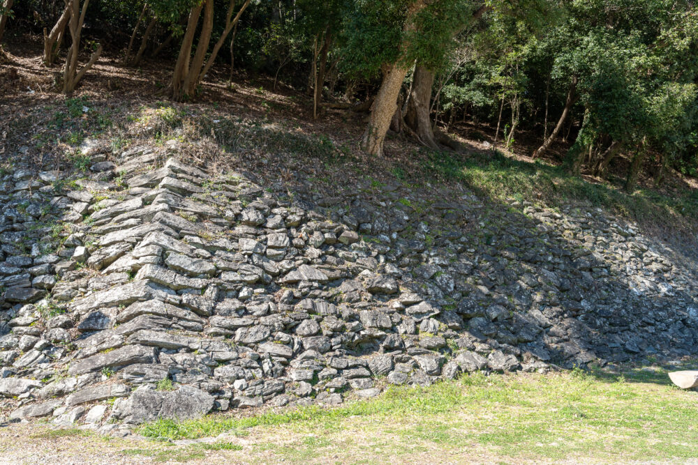 羽柴秀長(桑山重晴)時代の野面積み